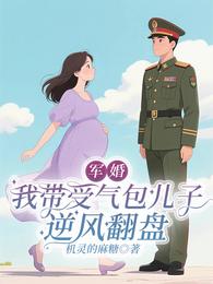 军婚：我带受气包儿子逆风翻盘