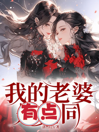 我的老婆有点同