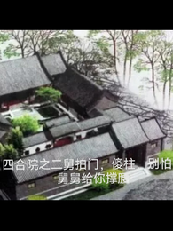 四合院之傻柱别怕，舅舅来了