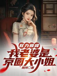 权力巅峰：从借调警厅督查组开始
