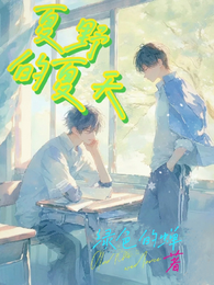 夏野的夏天