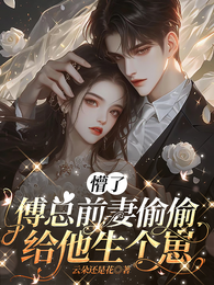 懵了，傅总前妻偷偷给他生个崽