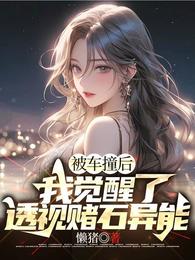 被车撞后，我觉醒了透视赌石异能