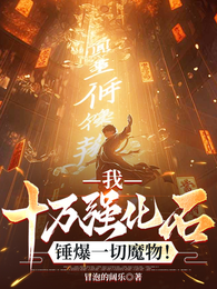 我，十万强化石，锤爆一切魔物！