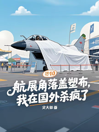 航展角落盖塑布，我在国外杀疯了