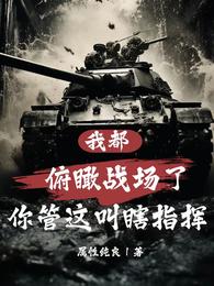 我都俯瞰战场了，你管这叫瞎指挥