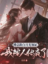 傅总跟白月光领证，我嫁人他疯了