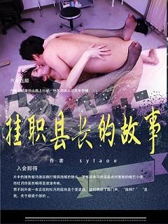 挂职县长的故事