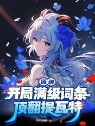 原神：开局满级词条，顶翻提瓦特