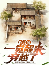 四合院：一觉醒来，穿越了