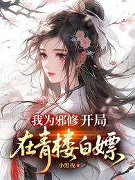 小黑夜的第9本书