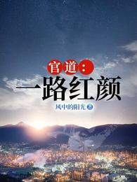 权利巅峰之官道天骄