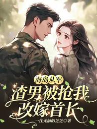 海岛从军：渣男被抢我改嫁首长