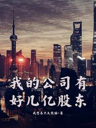 我的公司有好几亿股东