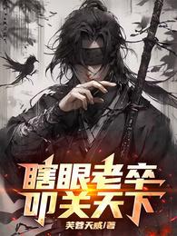 瞎眼老卒，叩关天下！