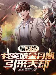 离婚后，我突破金丹期，引来天劫
