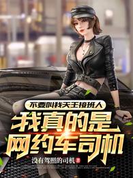 不要叫我天王接班人我真是司机