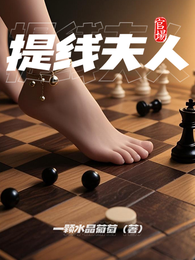 官场：提线夫人