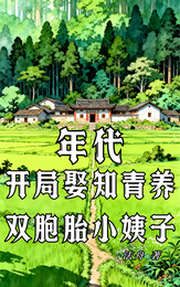 年代：开局娶知青养双胞胎小姨子