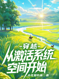 穿越，从激活系统空间开始