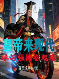 我带皇帝往返古今，历史全崩了