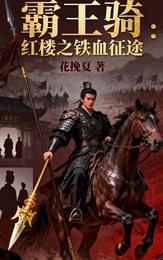 霸王骑：红楼之铁血征途